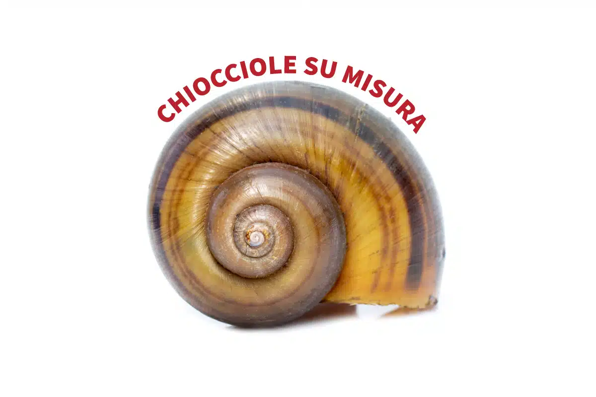 Chiocciole Su Misura